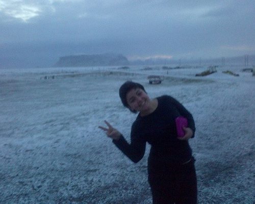 Vidaedu experiência profissional remunerada em Vik, Iceland