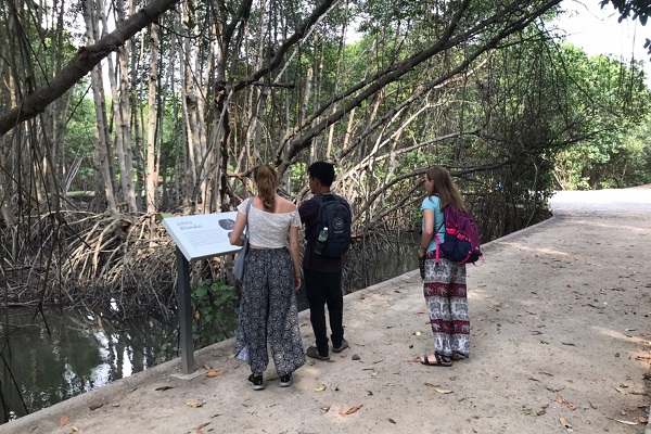 vidaedu visita ecossistema mangrove voluntariado internacional tailandia